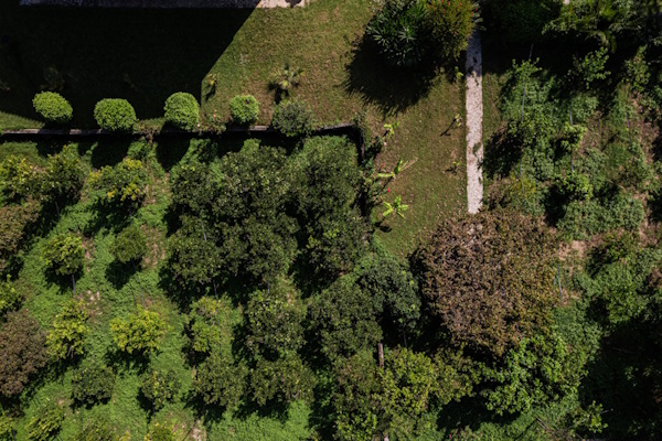 Garden and green outdoor area of Selini Villa in Kalithea seen from above