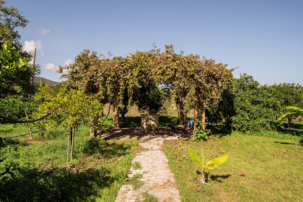 Garden pergola and stone path at Selini Villa in Kalithea
